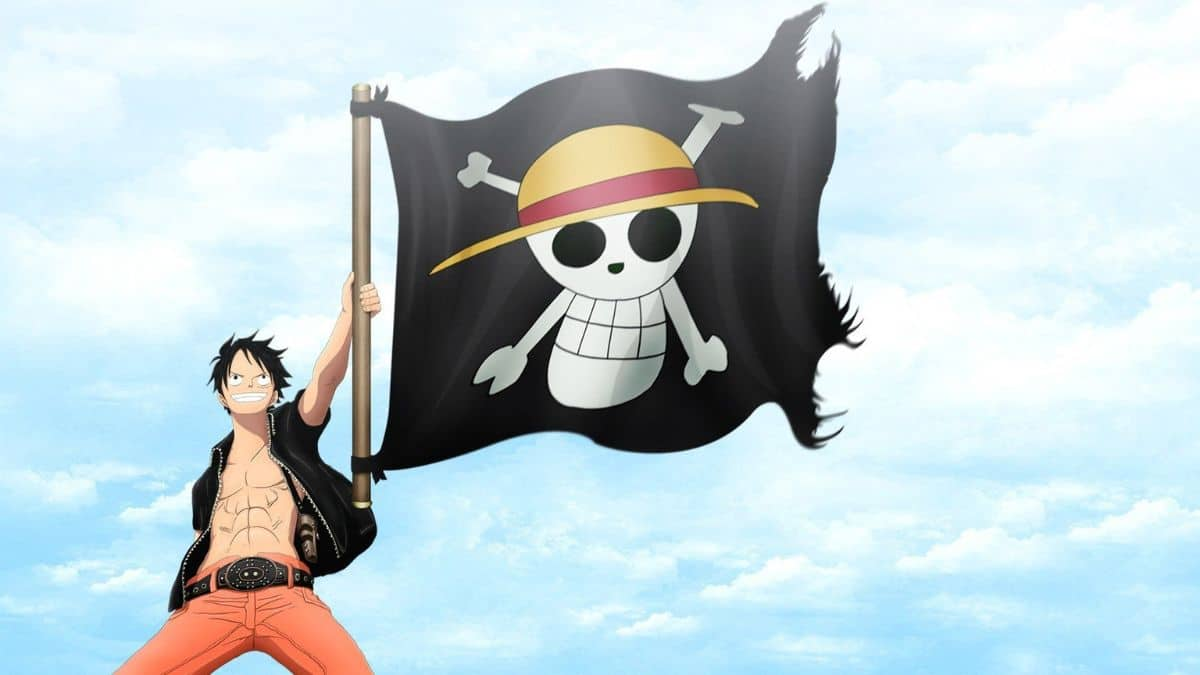 One Piece Flag